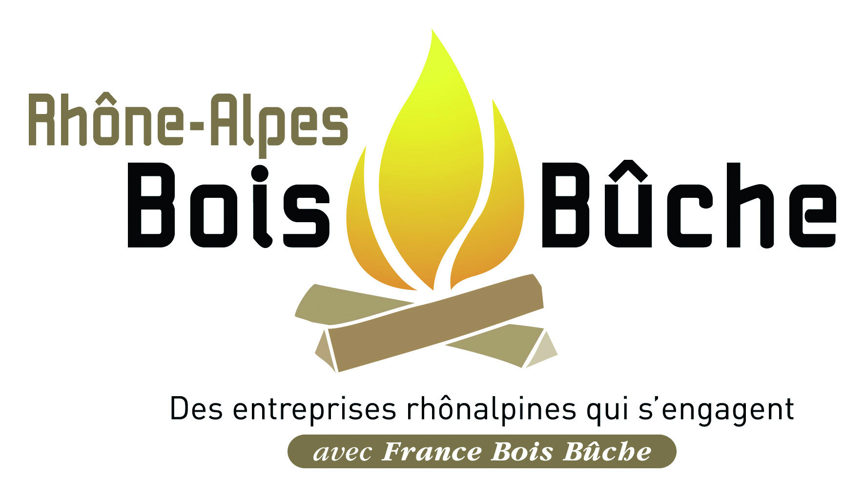 Bois de chauffage vrac - Qualité G1 - 100% Fayard - 50cm - Bois Rosa